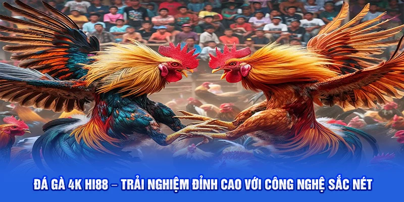 Đá Gà 4k Hi88 – Trải Nghiệm Đỉnh Cao Với Công Nghệ Sắc Nét