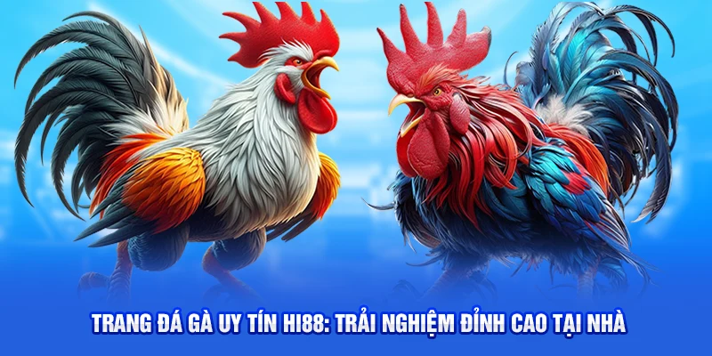 Trang Đá Gà Uy Tín Hi88: Trải Nghiệm Đỉnh Cao Tại Nhà